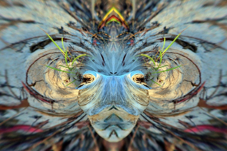 Starlight in the Stream - Card