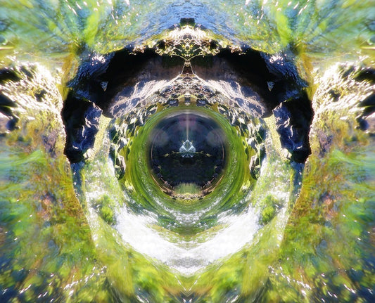 Starlight in the Stream