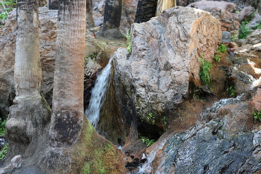 Scenergy
