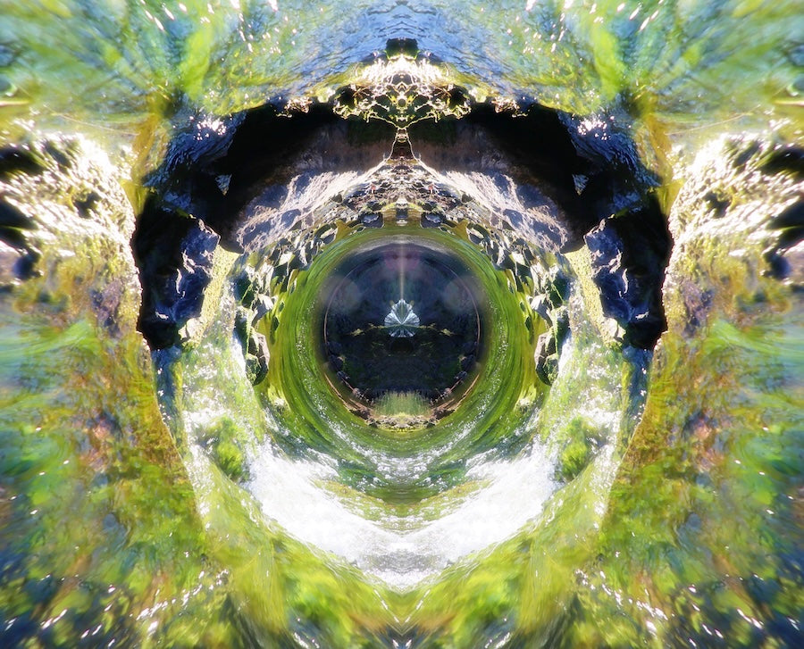 Purification