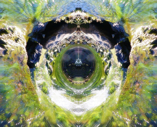 Purification