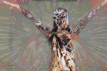 Expansion – Card