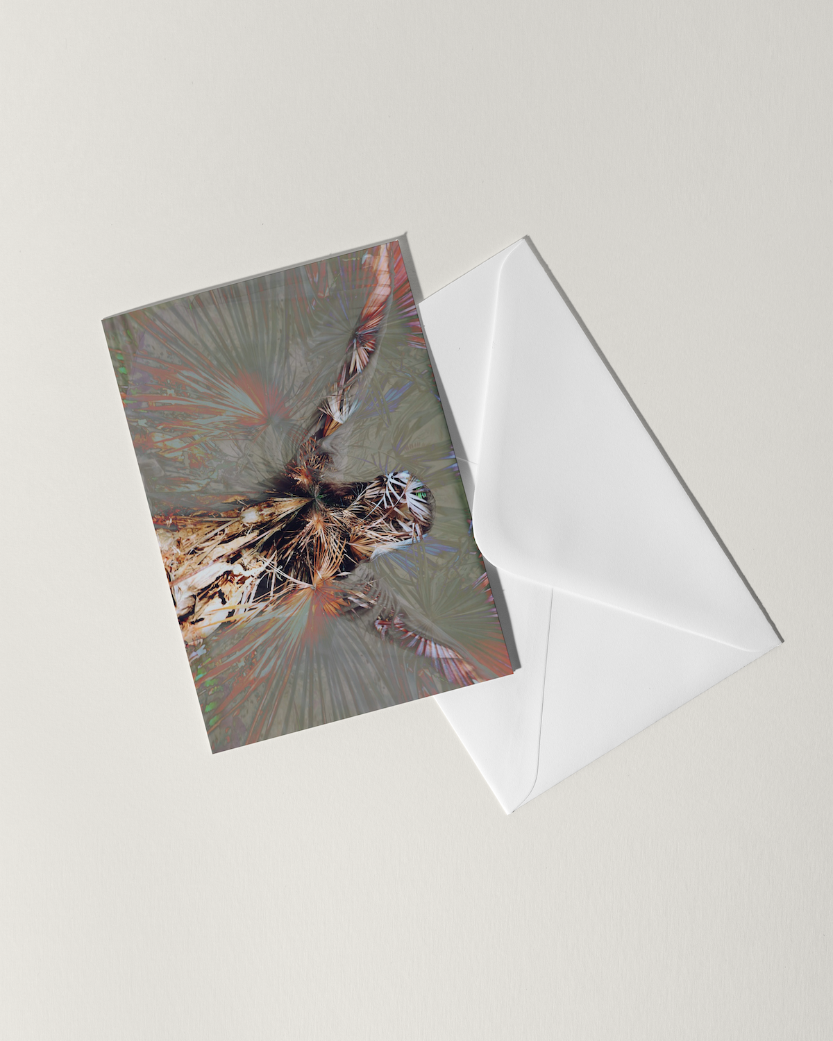 Expansion – Card