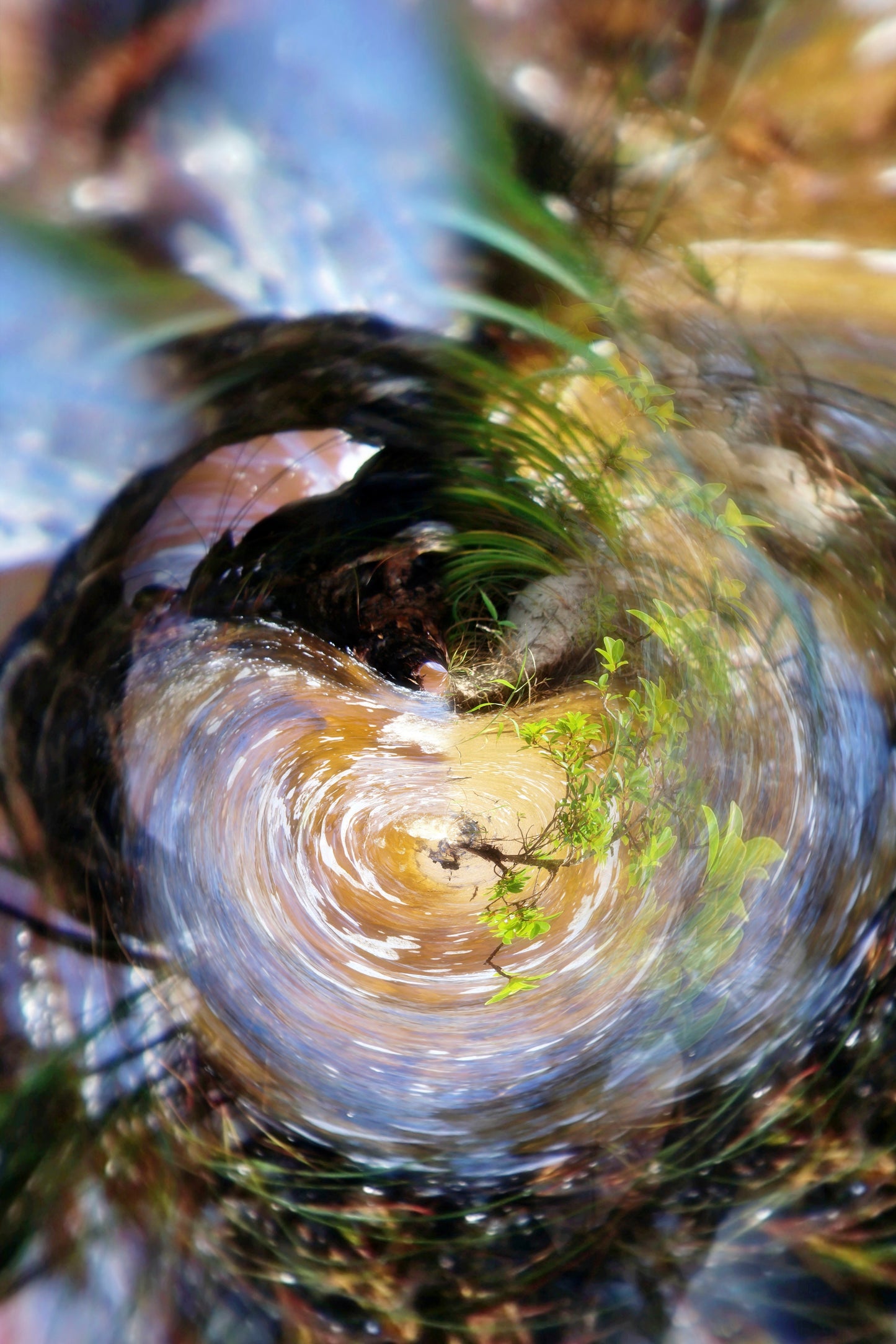 Water is Life