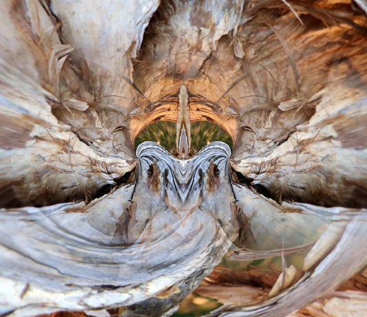 Temple Dancers – Card