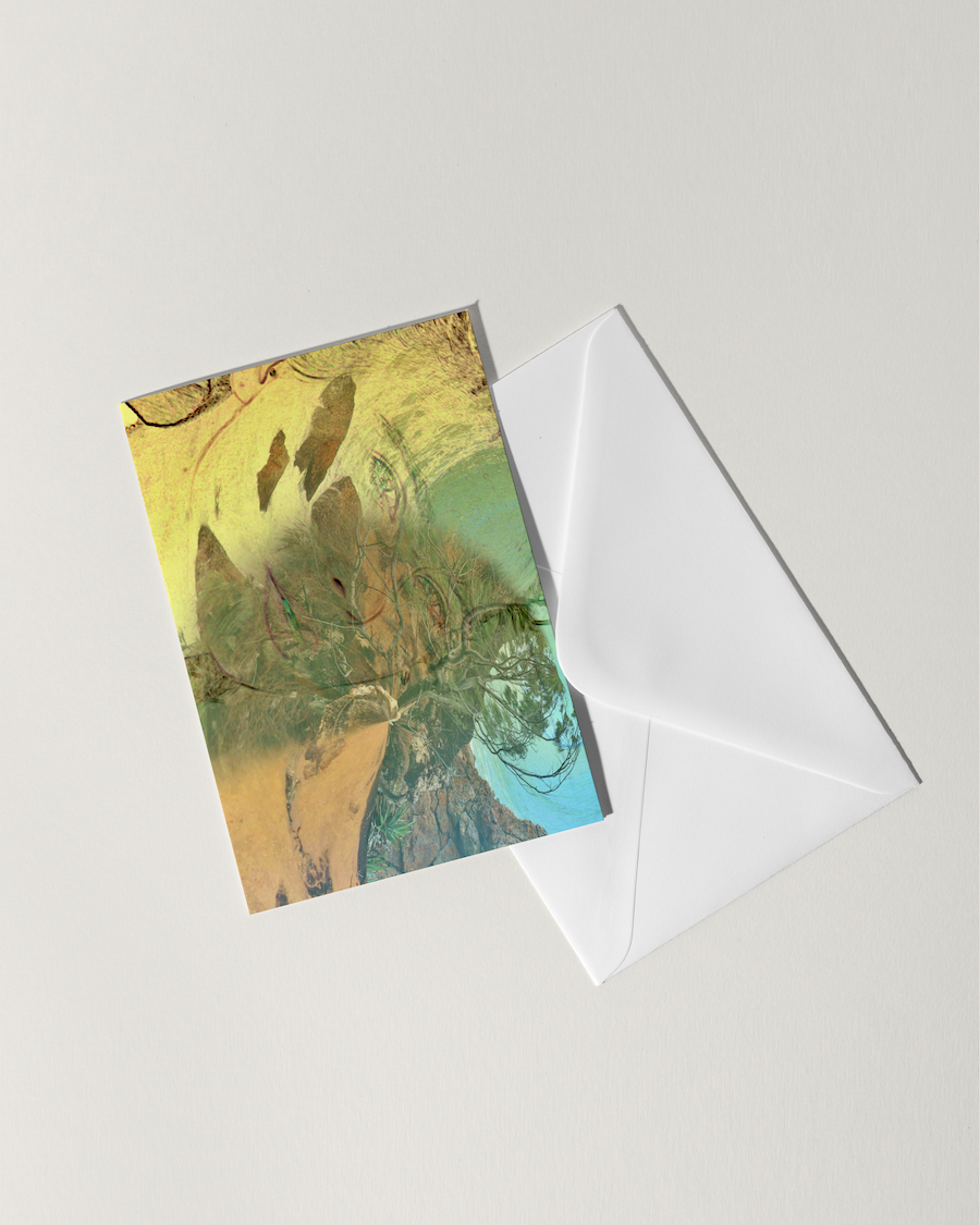 Daydreamer – Card