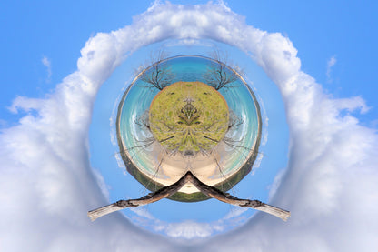 Creation – Card