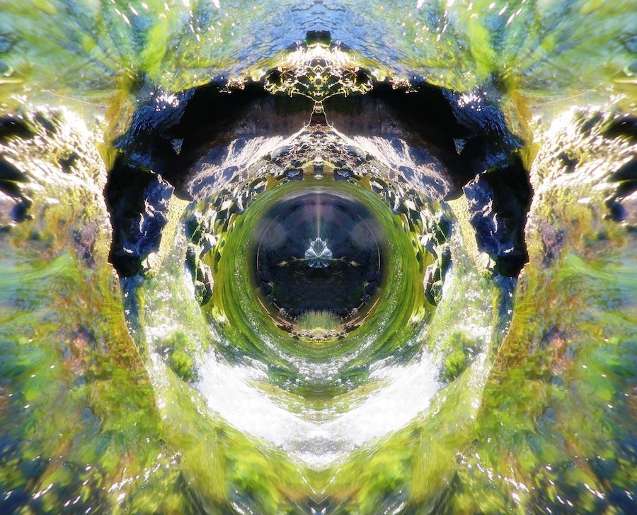 Starlight in the Stream