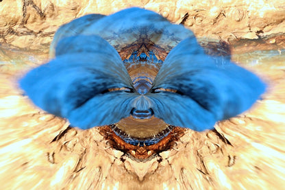 The Illusion of Reality