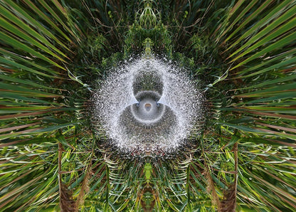 Enki