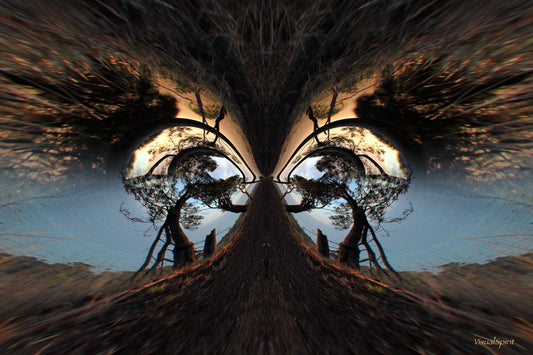 The Sacred Sundance – Card