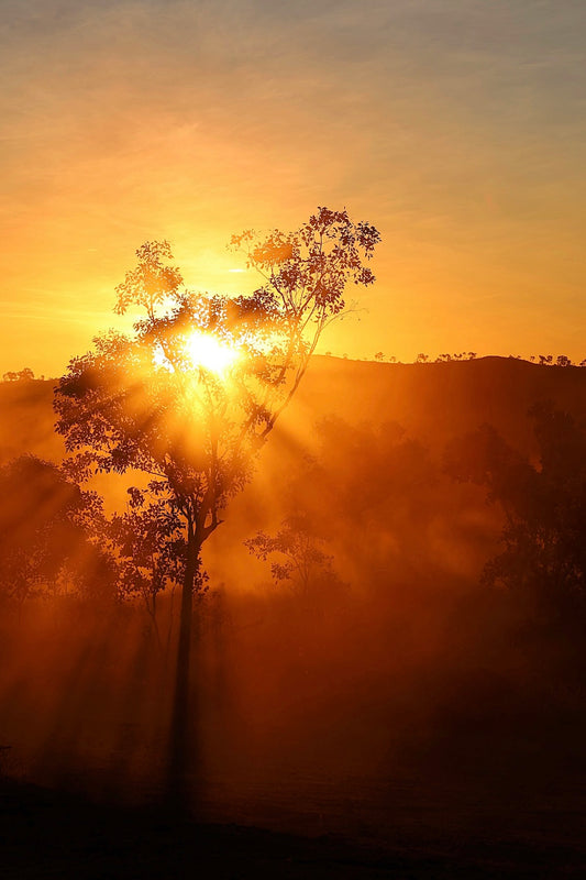 Sunset Symphony – Card